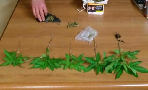 spaccio in strada sant'antonio abate