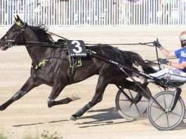 Boscotrecase Timone Ek