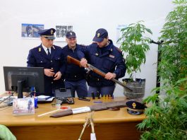 grumo nevano marijuana armi