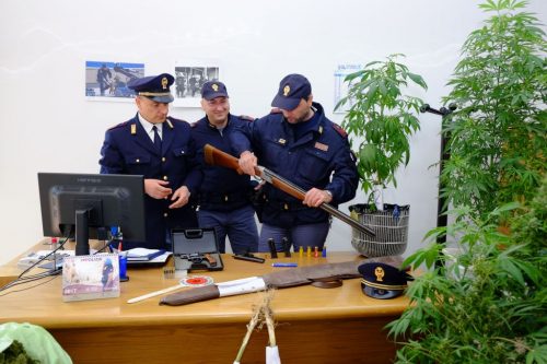 grumo nevano marijuana armi