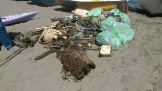 pulizia marina grande maggio 2017