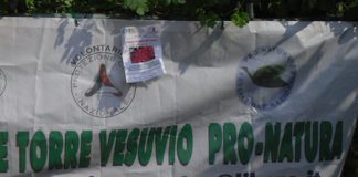 torre del greco associazione pro natura