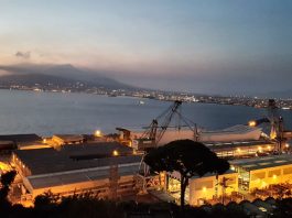 incendi vesuvio 13 luglio 2017