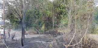 vesuvio incendio torre del greco