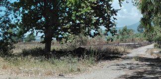 incendio fiume sarno rovigliano