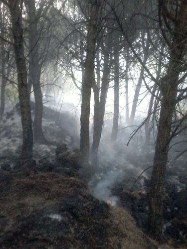 incendio vesuvio