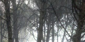vesuvio incendio