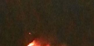 caprile in fiamme
