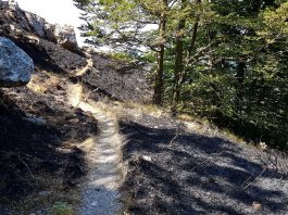 incendio lattari 3