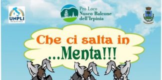 locandina nusco