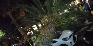 palma piazza lauro sorrento