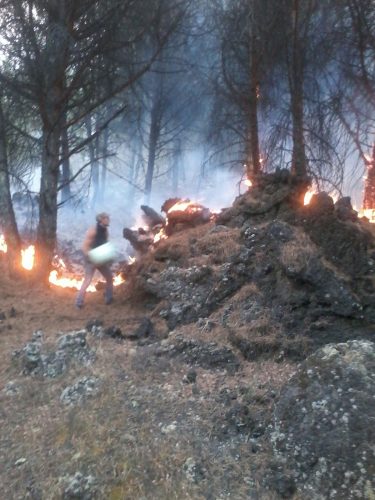 vesuvio fiamme soccorsi (9)