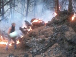Incedi sul Vesuvio nel 2017: assolti i tre dirigenti della Protezione Civile campana