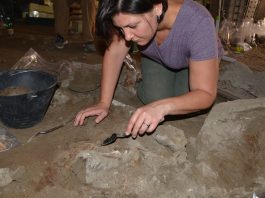 Killgrove excavating