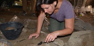 Killgrove excavating