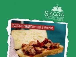 Spezzatino di cinghiale