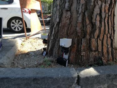 ESAME PINO VIALE MARCONI (1)