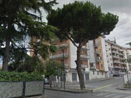 ESAME PINO VIALE MARCONI (2)