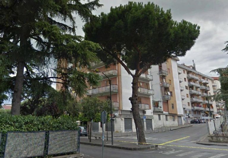 ESAME PINO VIALE MARCONI (2)