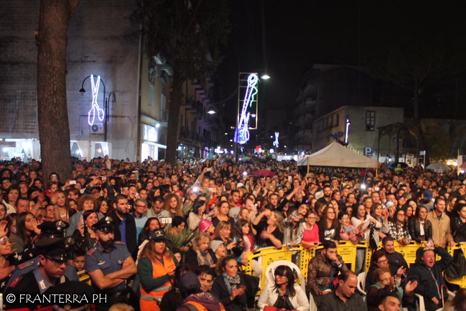 FOTO CALICI E COTONE