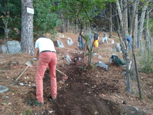 lavori manutenzione boschiva (2)