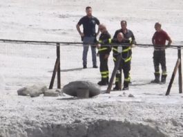 solfatara torino pozzuoli