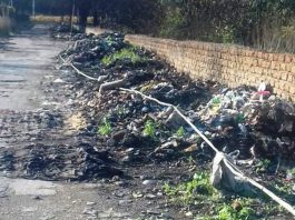 vesuvio terzigno immondizia