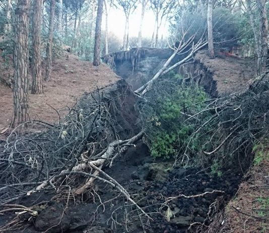 crollo costone vesuvio 2