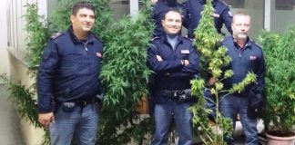 Napoli, Scampia: nell’androne di un palazzo piante di marijuana