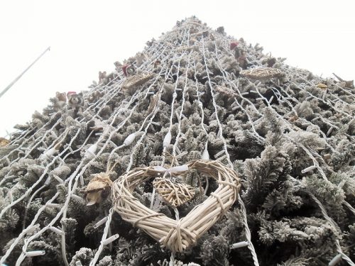 Addobbi Natalizi Naturali.Sant Agnello Il Wwf Quando L Addobbo Di Natale Aiuta La Natura