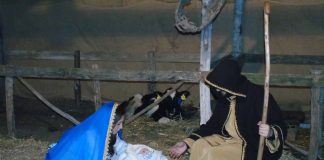 presepe vivente kolossal marchesa boscoreale (1)