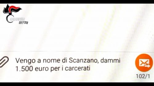 d'alessandro