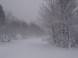 bufera vesuvio turisti bloccati