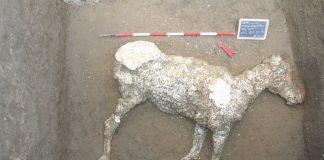 Pompei, scoperta tra cunicoli e scavi clandestini: emersa villa suburbana Scavi di Pompei - area Civita Giuliana