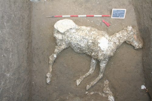 Scavi di Pompei - area Civita Giuliana
