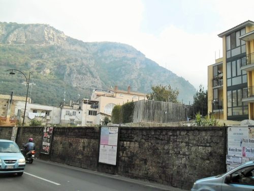 dopo il taglio