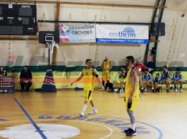 new lions gragnano