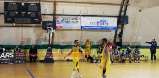 new lions gragnano