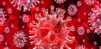 Coronavirus