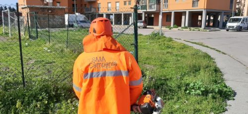 boscoreale sma campania 