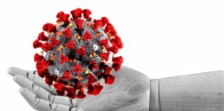 virus covid-19