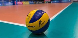 federvolley