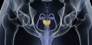 coronavirus testicoli