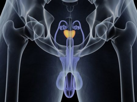 coronavirus testicoli