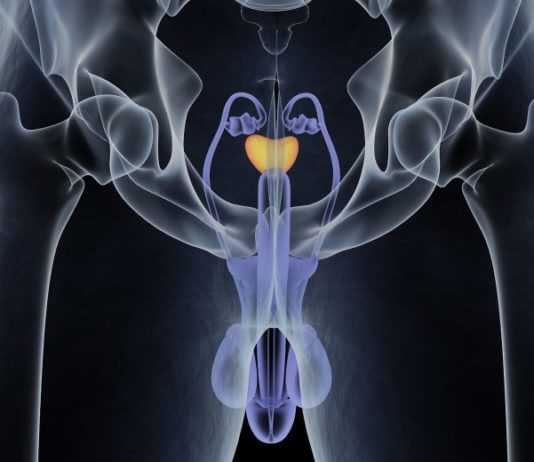 coronavirus testicoli