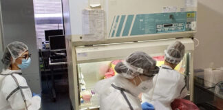 Coronavirus, Campania: ieri altri 27 guariti. Due i decessi per un totale di 366