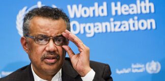 World health organization