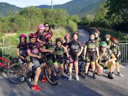 federal team bike