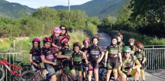 federal team bike