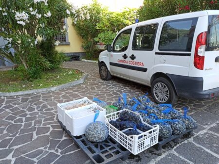 vongole sarno castellammare